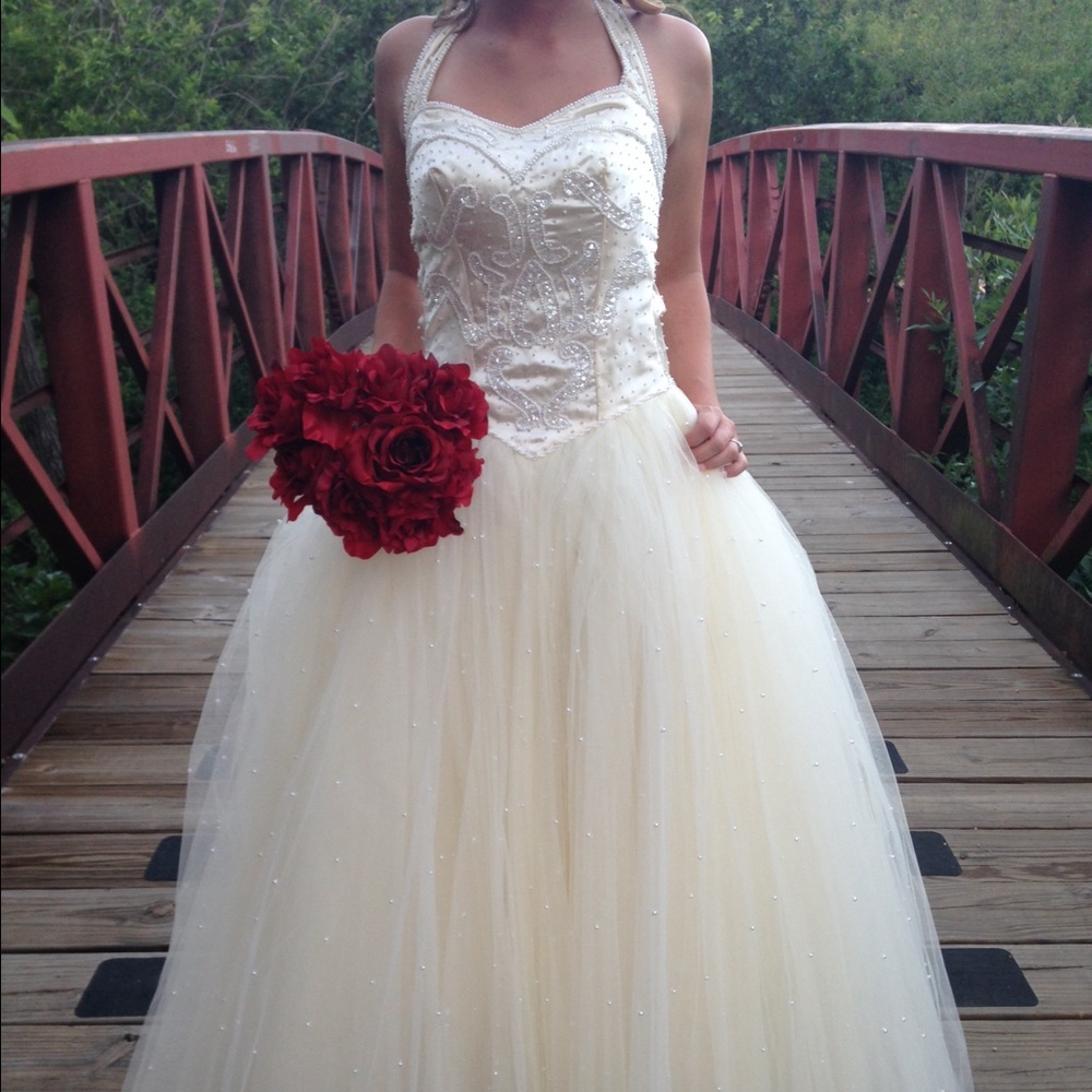 Ball Gown / Quinceanera Dress / Wedding Dress
